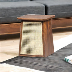 Modern Style Rattan Wooden End Table - Walnut Finish