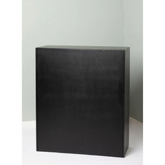 Modern Arch Bookcase In Black