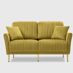Premium Green Color 2 Seater Fabric Sofa