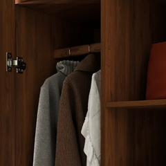 Modern Mango Wood Wardrobe