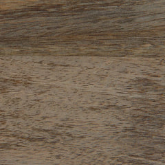 Modern Torpedo Verge Classsy Sheesham Wood Brown Bookcase