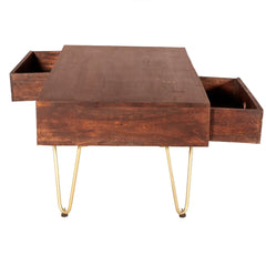 Picasso Dark Mango Wood Coffee Table