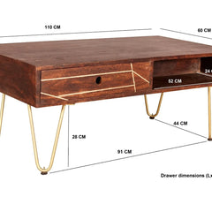 Picasso Dark Mango Wood Coffee Table