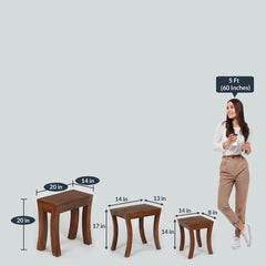 Classic Solid Wood Set of 3 Side Table In Natural Finish