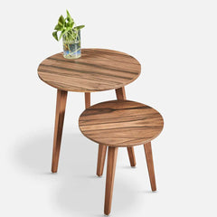 Modern Solid Wood Set of 2 Side Table In Brown