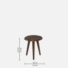 Sheesham Wood Side Table Set of 3