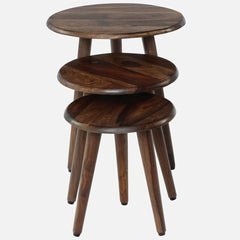 Sheesham Wood Side Table Set of 3