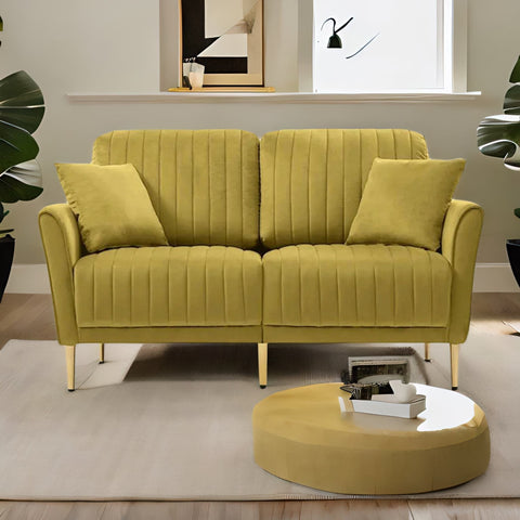 Premium Green Color 2 Seater Fabric Sofa